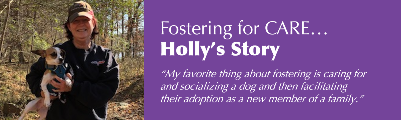 Fostering_Holly_dog